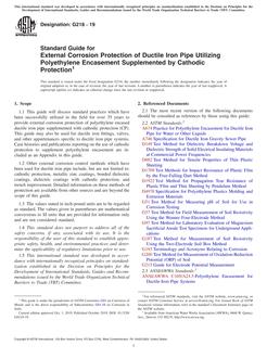 ASTM G218-19