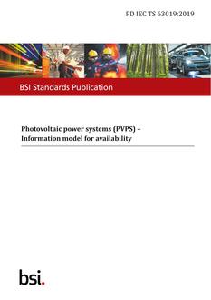 BS PD IEC TS 63019:2019