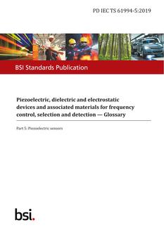 BS PD IEC TS 61994-5:2019