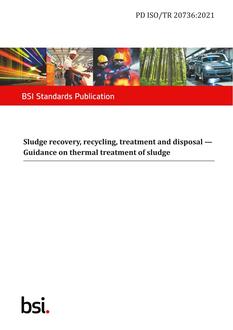 BS PD ISO/TR 20736:2021